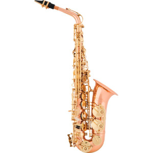 Saxofón alto ARNOLDS & SONS AAS-100G